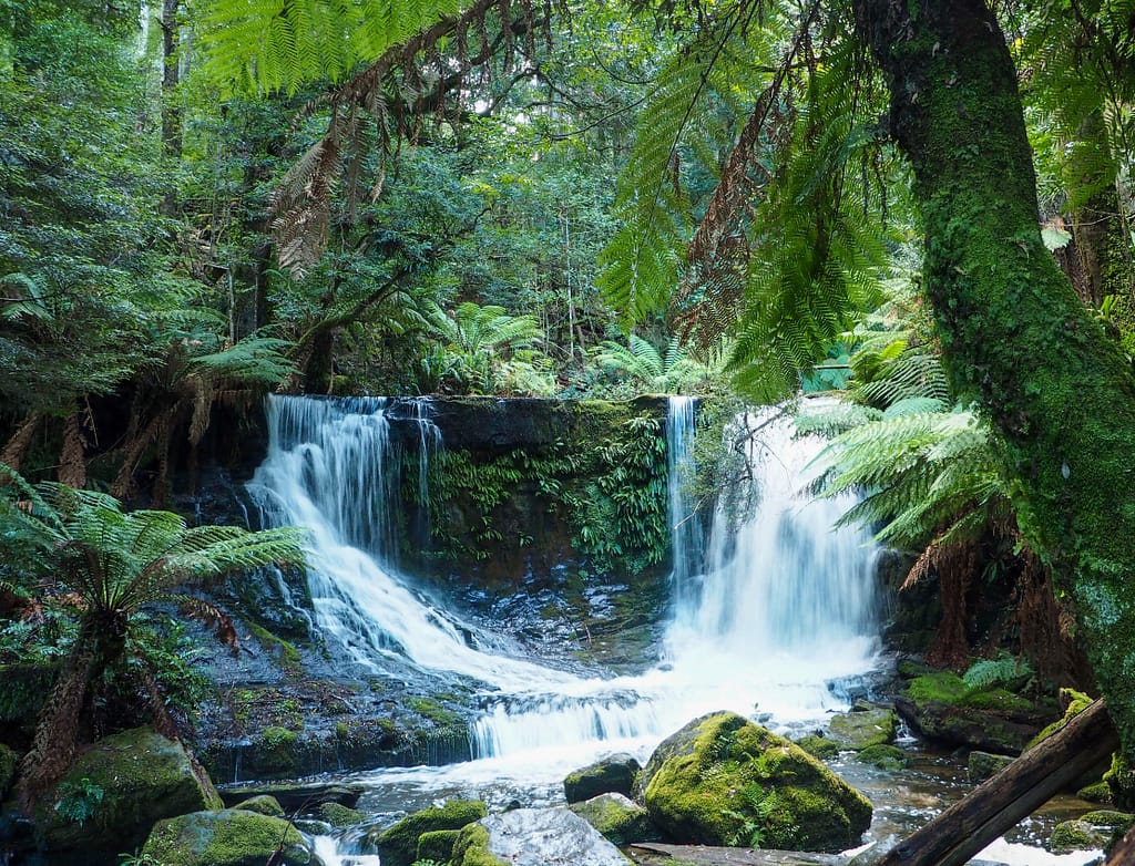 horseshoe falls tasmanie